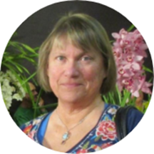 Catherine Currie, LCSW