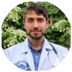 All provider availability