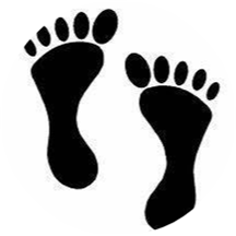 Dr. Frank Dipalma, DPM