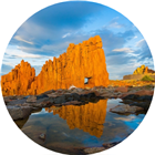 All provider availability