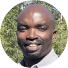 All provider availability