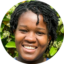 Nompilo Zibanayi, LSWAIC, MSW