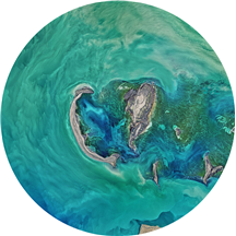 William Reyes, LMHC, MCAP